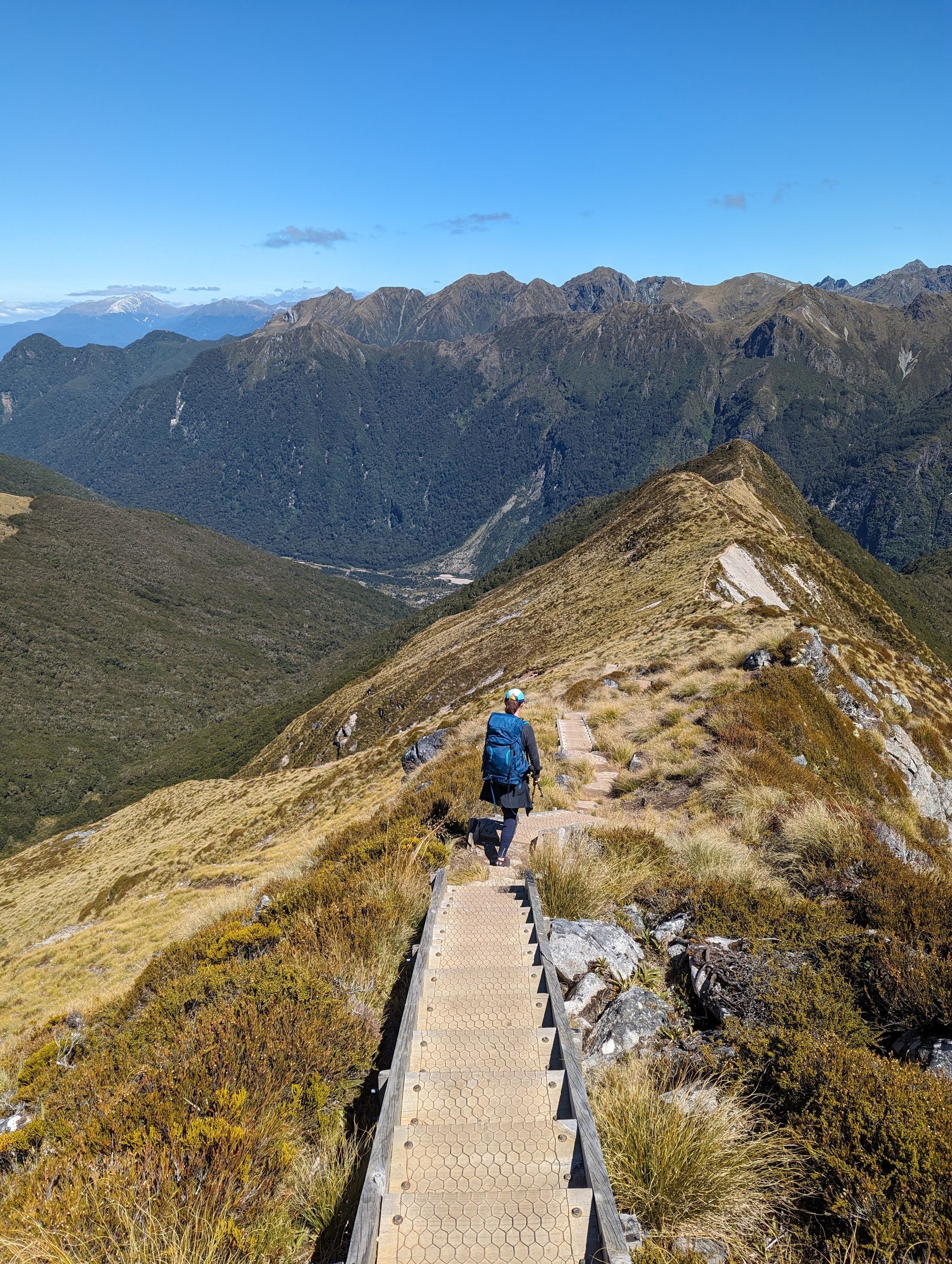 Kepler Track : 4 jours de randonnée dans le Fiordland