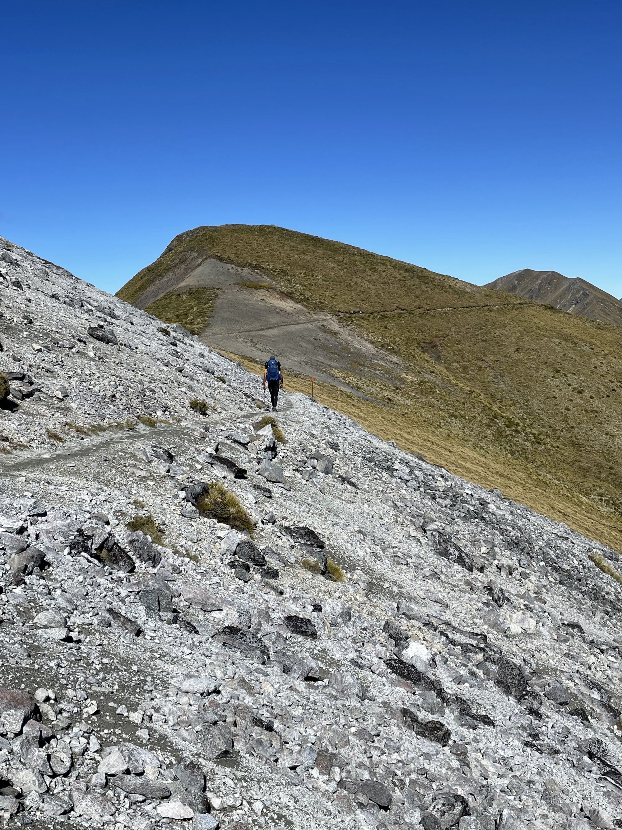 Kepler Track : 4 jours de randonnée dans le Fiordland