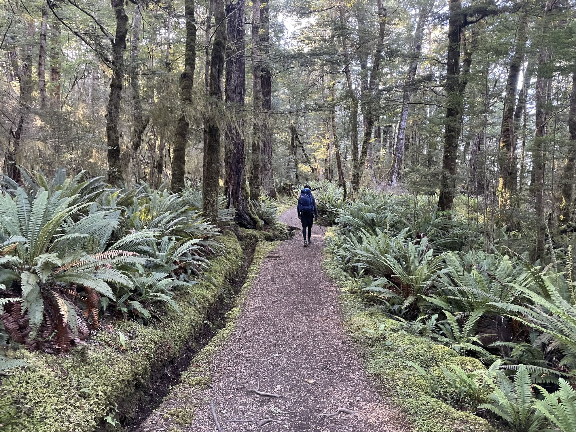 Kepler Track : 4 jours de randonnée dans le Fiordland