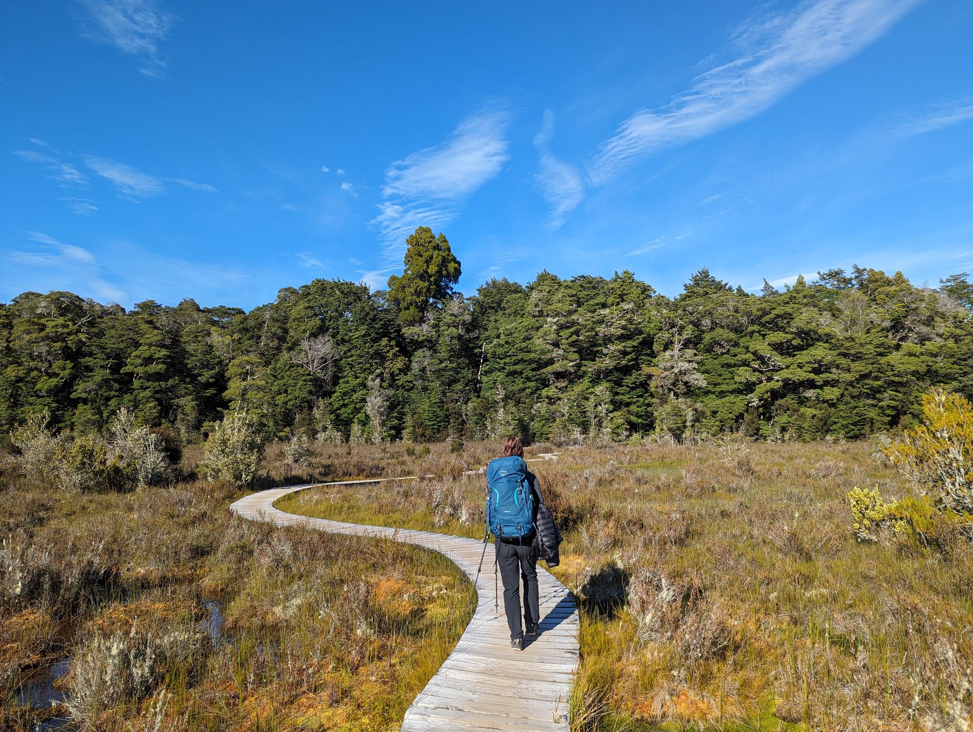 Kepler Track : 4 jours de randonnée dans le Fiordland