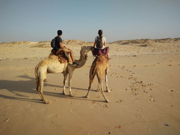 Dakar, Gorée et le Lac Rose